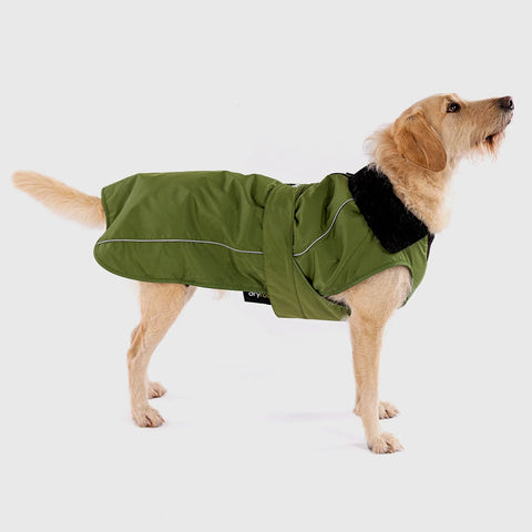 Dryrobe - Dog Coat Green Black