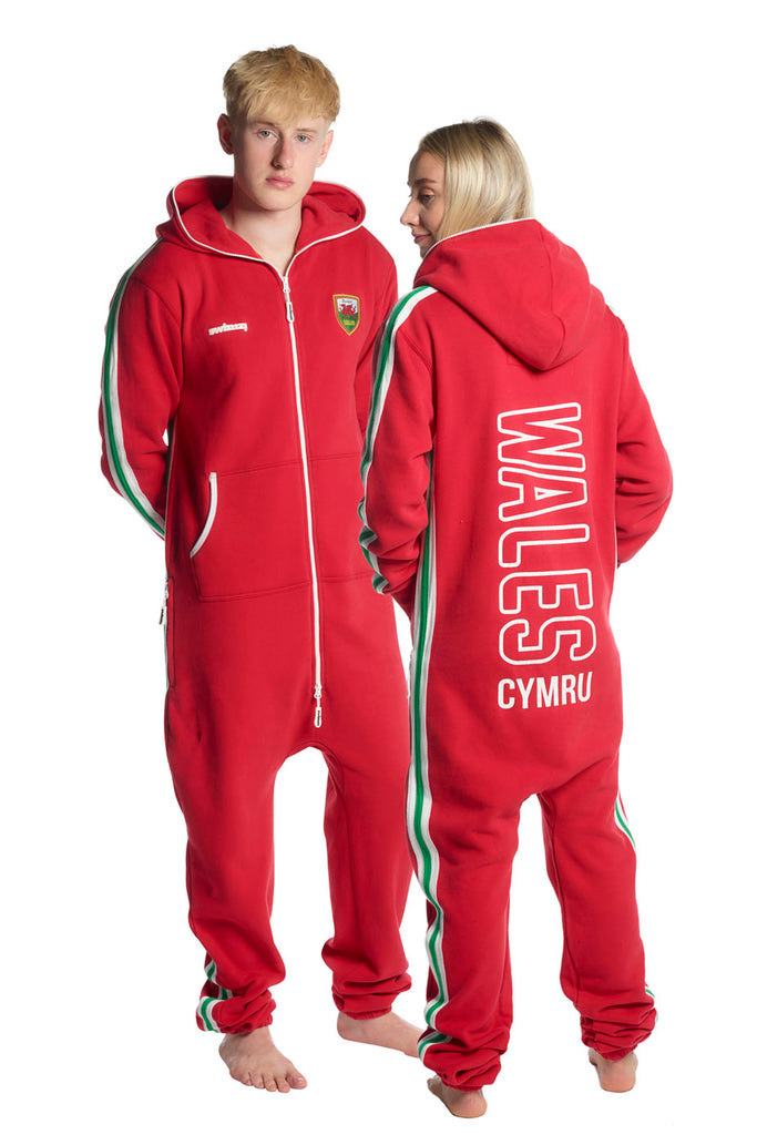 Proud to be Welsh with our New Swimzi Range