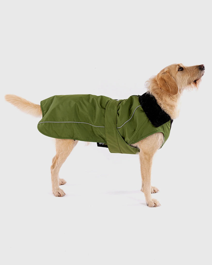 Dryrobe - Dog Coat Forest Green/Black