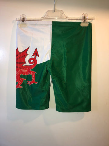 Finis - Mens Jammer Welsh Dragon Custom