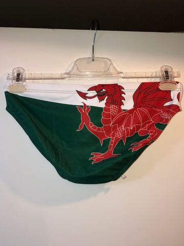 Finis - Mens Brief Custom Welsh Dragon